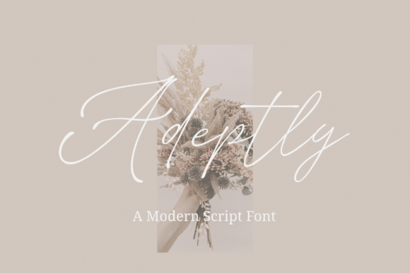 Adeptly: A Designer's Honest Review of This Script Amp