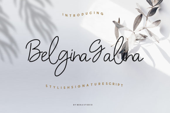 Belgina Galina: A Script Font That Makes Campaign Messages Clearer