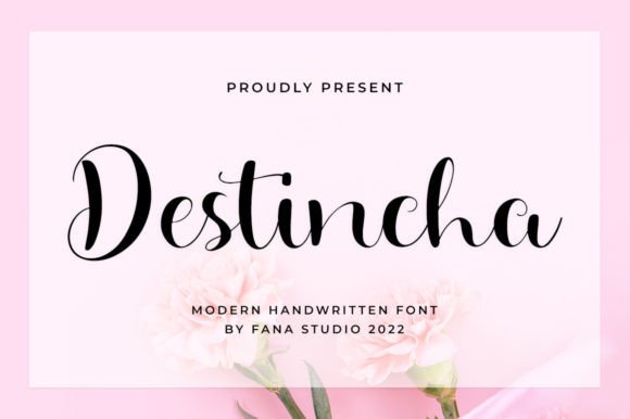 Destincha Script Font Brings a Personal Touch to Your Brand