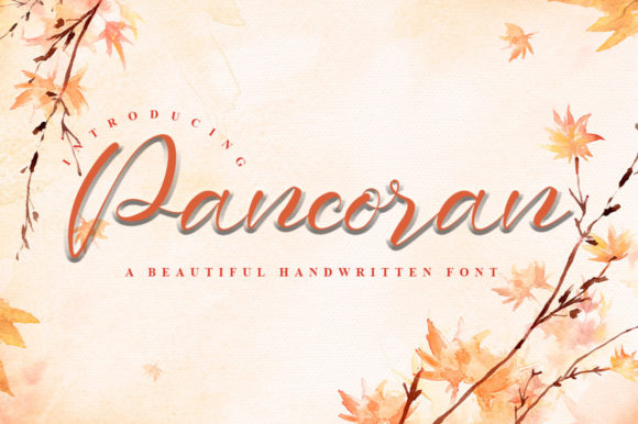 How Pancoran Font Gave My Small Business a Polished Look