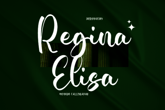 Regina Elisa: A Display Font That Elevates Web Branding