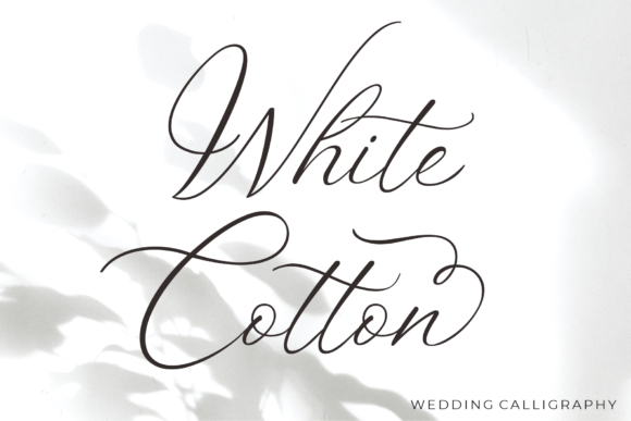 White Cotton Font Review: A Modern Script for Brand Design